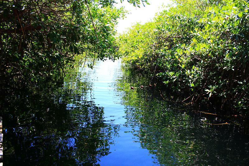 Hotel Maya Cabanas Y Cenote Tulum Luaran gambar